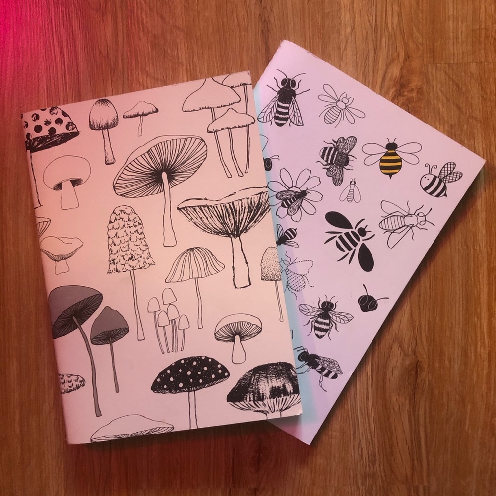 🍄 🐝 Blank Notebook Set